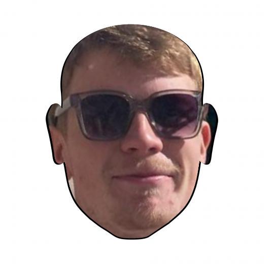 Ansiktskudde med din egen bild