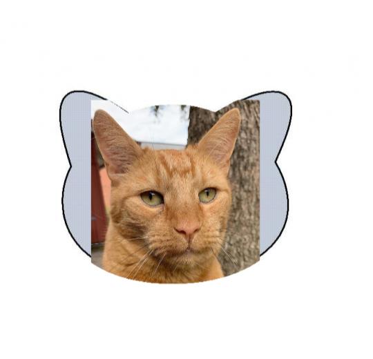 Ansiktskudde med bild på ditt husdjur