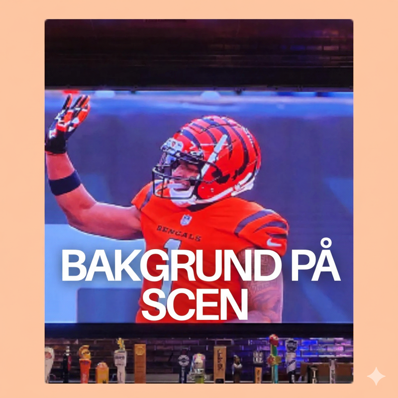 Inomhus LED-skärmar