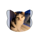 Strumpor - Med bild på ditt husdjur