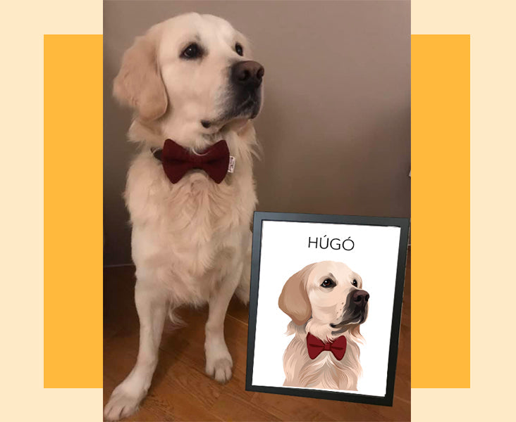 Poster - En hyllning till ditt husdjur