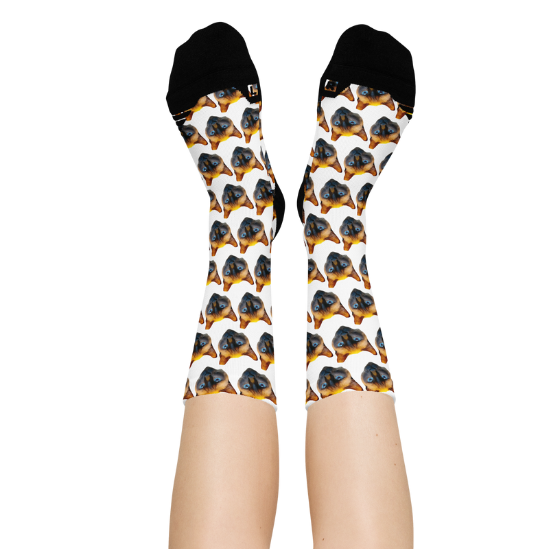 Strumpor - Med bild på ditt husdjur