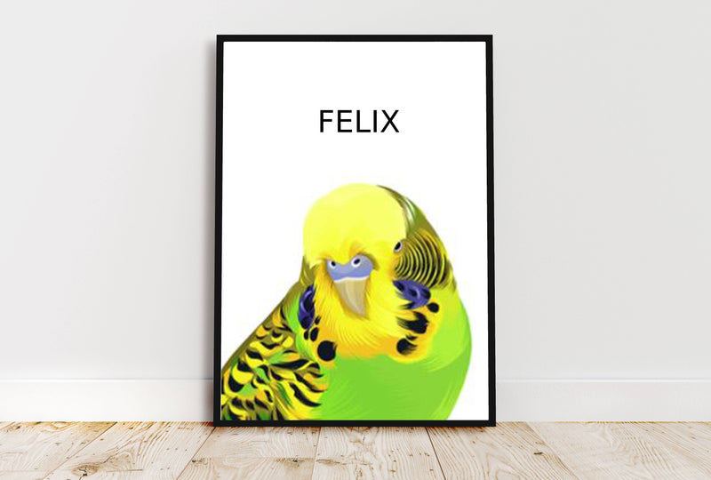 Poster - En hyllning till ditt husdjur